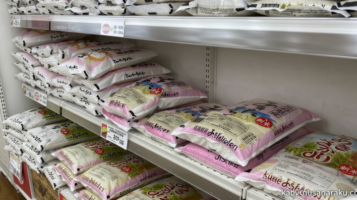 Harga Beras di Jepang Anjlok Usai Produksi Melimpah – tapi Permintaan Melemah