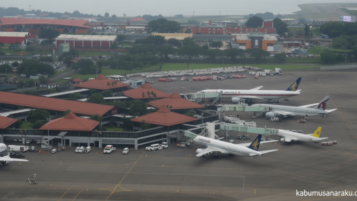 Latest Program: Mulai 1 Juli, Jemaah Umrah-Haji Khusus Lewat Terminal 2F Bandara Soetta
