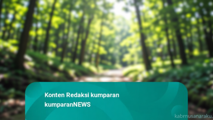 What Happened During: Bocah di Batam Dianiaya Ibu Tiri: Wajah Lebam, Mata Membiru, Badan Kurus