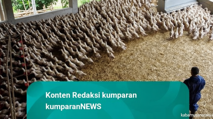 Prancis Dilanda Gelombang Panas – Ratusan Ribu Unggas Mati Massal