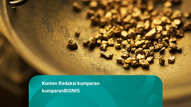 Prabowo: RI Baru Temukan Cadangan Emas-Mineral di Papua – Jumlahnya Besar