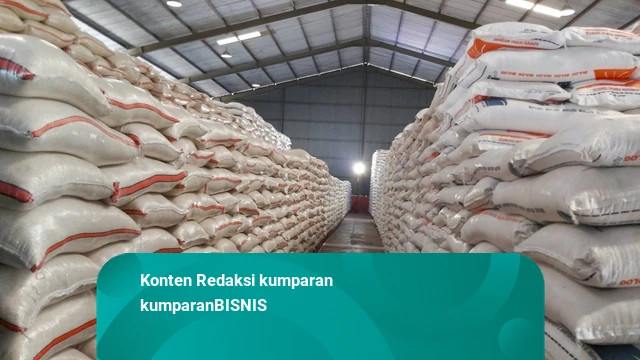 CBP Capai 5,4 Juta Ton – Ekonom: Ada Kemajuan RI Kelola Cadangan Beras