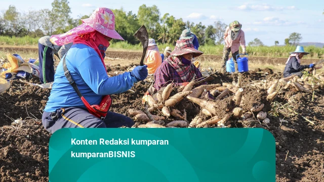 Latest Program: RI Bisa Bikin Bensin dari CPO hingga Singkong, Prabowo Janji Petani Akan Makmur