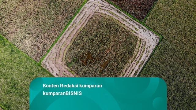 Prabowo Klaim Petani Makin Sejahtera: Banyak yang Beli Mobil-Pergi Umrah