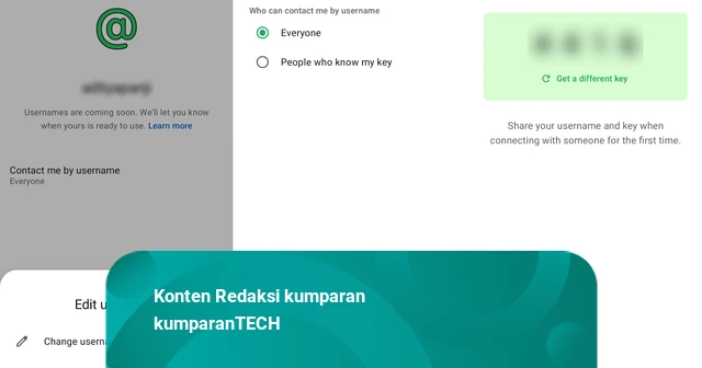 Polling: 55,13% Pembaca Tertarik Coba Fitur Username di WhatsApp