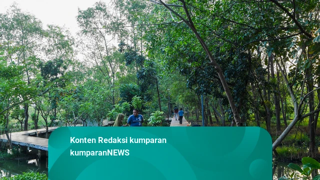Solution For: Polling: Seberapa Jauh Lokasi Hutan Kota dari Tempat Tinggalmu?