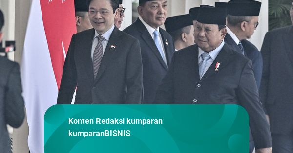 Meeting Results: Ini Perusahaan yang Bakal Impor Listrik Danantara dari Batam hingga Karimun