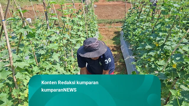 New Policy: Napi Lapas Ciangir Jalani Program Kemandirian: Biar Bermanfaat di Masyarakat