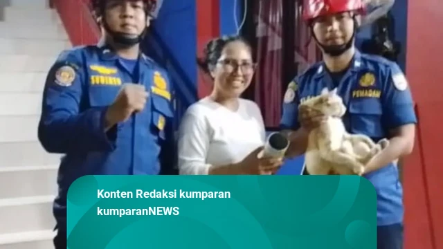 Historic Moment: Kepala Tersangkut Kaleng Makanan, Kucing di Depok Dievakuasi Damkar