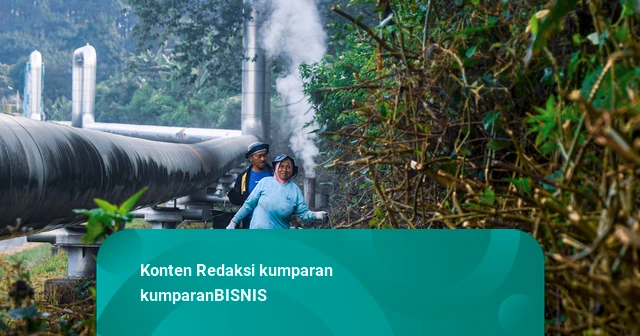 New Policy: Foto: Panas Bumi Kamojang Antar Kopi Lokal Tembus Pasar Dunia