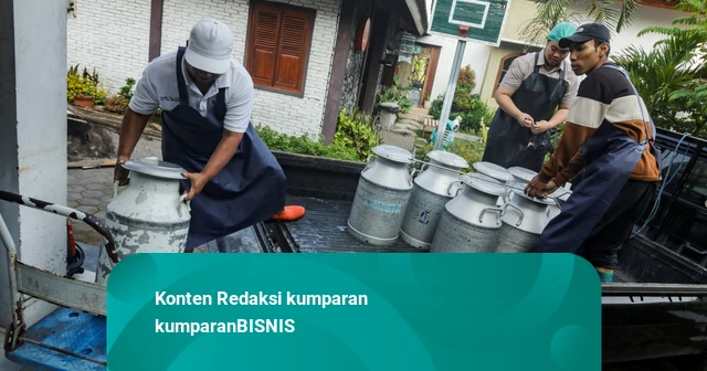 Foto: Produksi Keju Artisan Serap Susu Peternak Lokal di Sleman