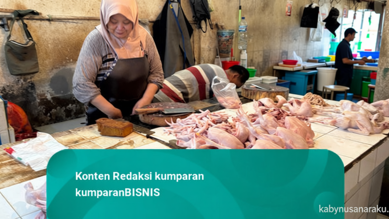 Harga Daging Ayam Naik Jadi Rp 30 Ribu per Kilogram, Telur Ayam Rp 29 Ribu