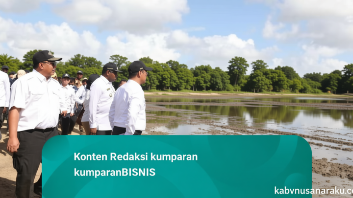 Key Strategy: Pemerintah Sudah Cetak Sawah 83.030 Hektare di Papua