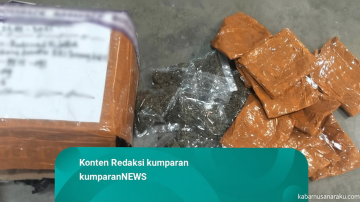 Special Plan: TNI Gagalkan Penyelundupan 670 Gram Ganja di Sentani, Diduga Untuk Danai OPM