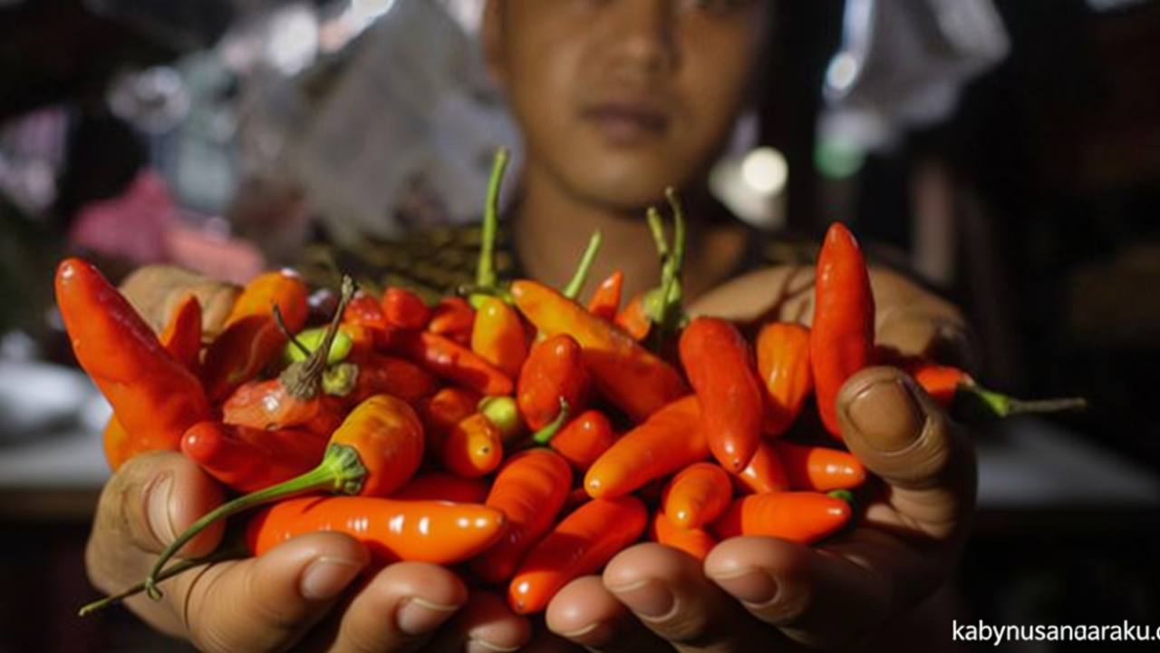 Harga Pangan Nasional Hari Ini: Cabai Rawit Merah Tembus Rp 80.050 per Kg