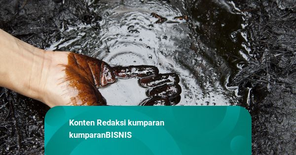 Harga Komoditas: Minyak Mentah Turun Tipis 0,2 Persen – CPO Naik 1,5 Persen