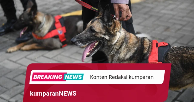 Polri Kirim 10 Anjing K9 untuk Cari Korban Gempa di NTT