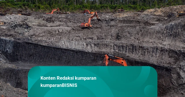 Negara Raup Rp 20,9 Miliar dari Lelang Batu Bara Sitaan