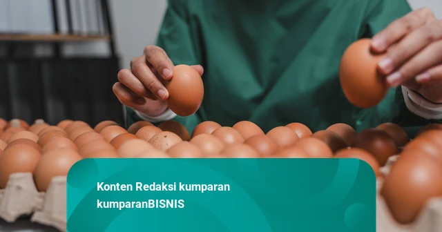 Atasi Biaya Logistik, Pemerintah Mau Bikin Hub Ayam-Telur untuk MBG