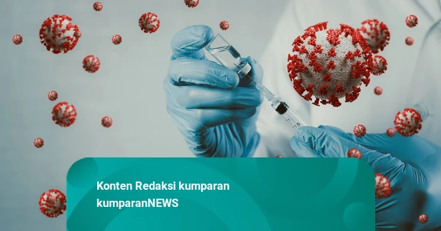 Penjelasan Dinkes Bali tentang Virus Zika yang Dapat Peringatan dari AS