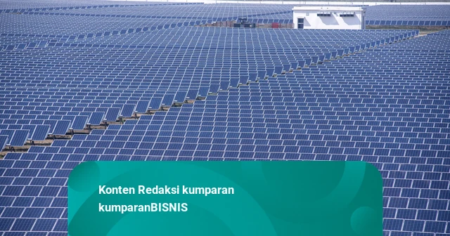 Belajar dari India, IESR Usul PLTS 100 GW Jadi Misi Nasional