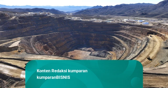 Perpres Mineral Kritis Digodok, Reklamasi Lahan Tambang Diarahkan ke Pertanian