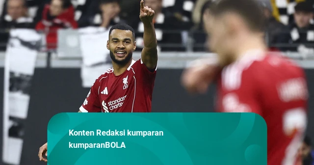 Tottenham Hotspur Bidik Cody Gakpo