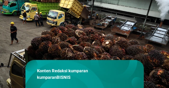 Harga Komoditas Kompak Naik, CPO Melesat 2,9 Persen