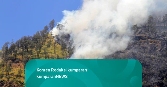 Kebakaran Hutan Gunung Bromo Terus Meluas Imbas Angin, Kini Capai 520 Hektare