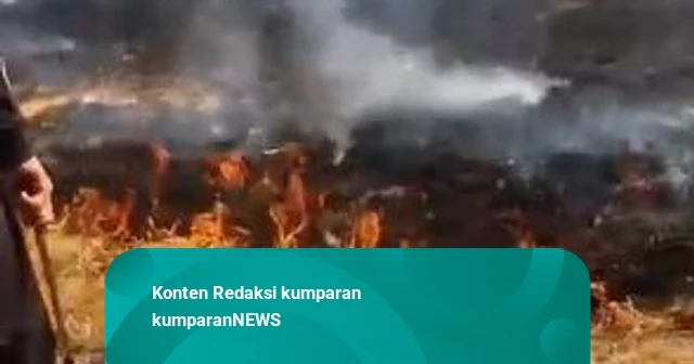 Kebakaran Gunung Gede Pangrango Belum Padam, Polisi Terjunkan Pleton Bawa APAR