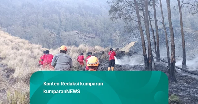 921 Hektare Lahan di Bromo Terbakar Selama 9 Hari, Cuaca Jadi Kendala Pemadaman