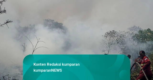 Karhutla di Pekanbaru Bikin Kualitas Udara Memburuk, Siswa TK-SMP Belajar Daring