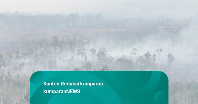 Karhutla Makin Meluas, Jadi Sorotan DPR