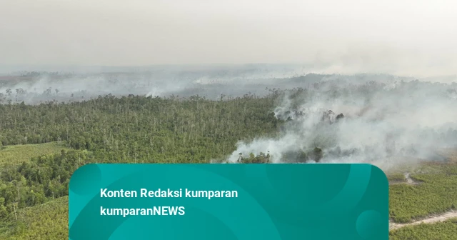 BNPB Ungkap Titik Hotspot dan Kendala Pemadaman Karhutla di Kalimantan-Sumatera