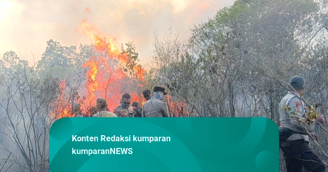 Karhutla Way Kambas Diduga Sengaja Dibakar, TNWK Pantau Kondisi Satwa Liar