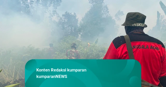 BNPB Ungkap Upaya Modifikasi Cuaca Padamkan Karhutla di Kalimantan-Sumatera