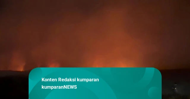 1.011 Hektare Lahan Terbakar di Banjar, Titik Api Kembali Muncul di Tungkaran
