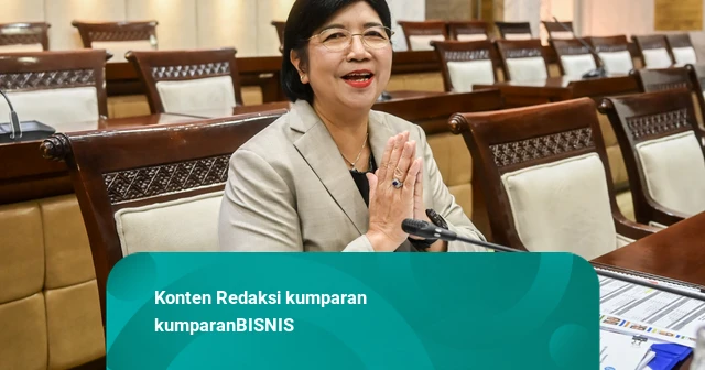 DPR Sahkan Destry Jadi Gubernur BI 1 September 2026, Aida Deputi Gubernur Senior